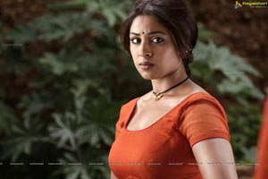 Richa Gangopadhyay in Hot Saree