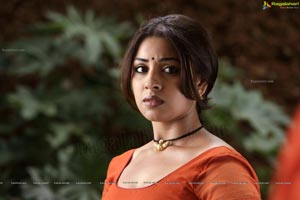 Richa Gangopadhyay in Hot Saree