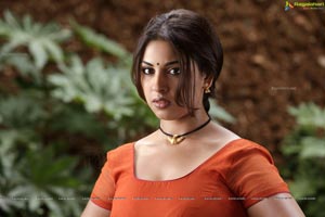 Richa Gangopadhyay in Hot Saree