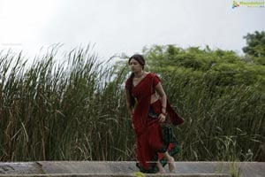 Richa Gangopadhyay in Hot Saree