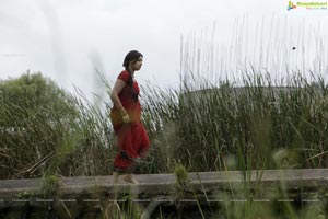 Richa Gangopadhyay in Hot Saree