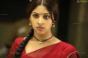 Richa Gangopadhyay in Hot Saree