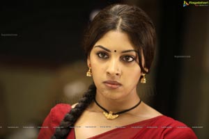 Richa Gangopadhyay in Hot Saree