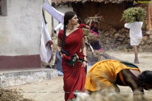 Richa Gangopadhyay in Hot Saree