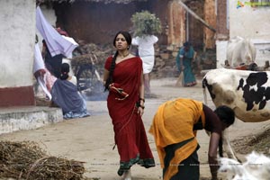 Richa Gangopadhyay in Hot Saree