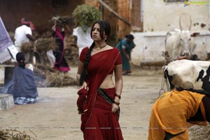 Richa Gangopadhyay in Hot Saree