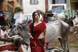 Richa Gangopadhyay in Hot Saree