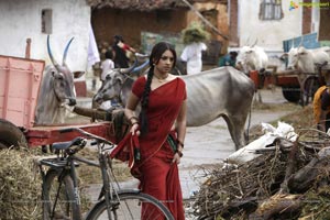 Richa Gangopadhyay in Hot Saree