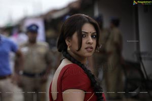 Richa Gangopadhyay in Hot Saree