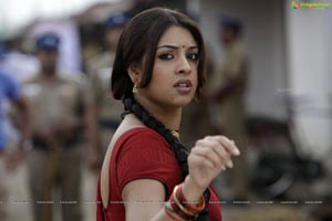 Richa Gangopadhyay in Hot Saree