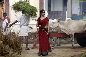 Richa Gangopadhyay in Hot Saree