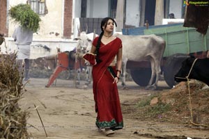 Richa Gangopadhyay in Hot Saree