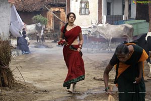 Richa Gangopadhyay in Hot Saree