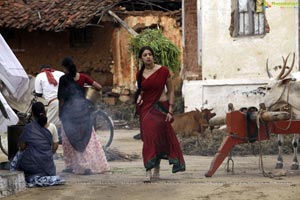 Richa Gangopadhyay in Hot Saree