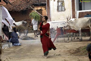 Richa Gangopadhyay in Hot Saree