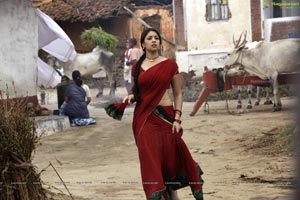 Richa Gangopadhyay in Hot Saree