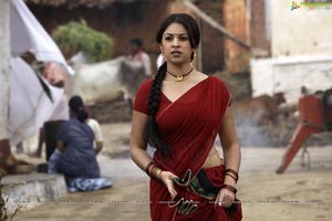 Richa Gangopadhyay in Hot Saree