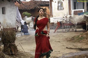 Richa Gangopadhyay in Hot Saree