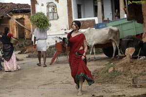 Richa Gangopadhyay in Hot Saree