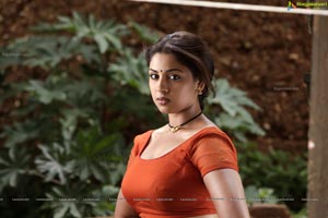 Richa Gangopadhyay in Hot Saree