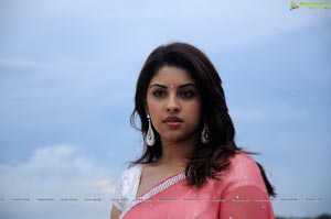 Richa Gangopadhyay in Saree