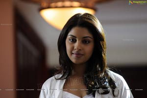 Richa Gangopadhyay in Saree