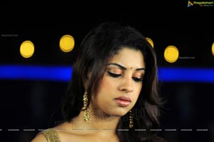 Richa Gangopadhyay in Saree