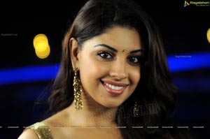 Richa Gangopadhyay in Saree