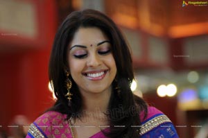 Richa Gangopadhyay in Saree