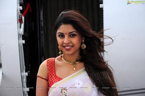 Richa Gangopadhyay in Saree