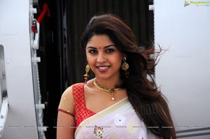 Richa Gangopadhyay in Saree