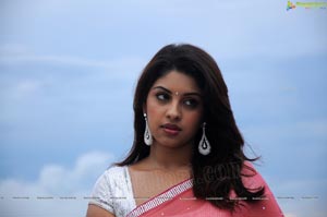 Richa Gangopadhyay in Saree