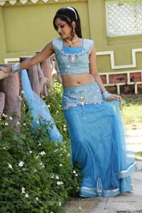 Download Madhavilatha Photos