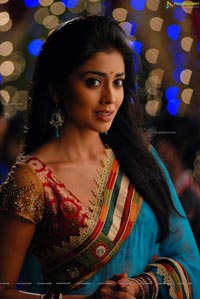 Beautiful Shriya draped in a Saree