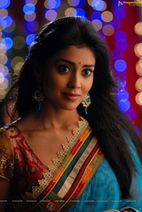 Beautiful Shriya draped in a Saree