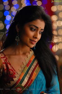 Beautiful Shriya draped in a Saree
