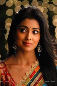 Beautiful Shriya draped in a Saree