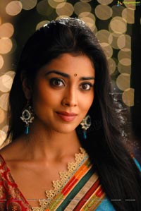 Beautiful Shriya draped in a Saree