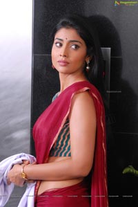 Beautiful Shriya draped in a Saree