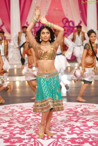 Beautiful Shriya draped in a Saree