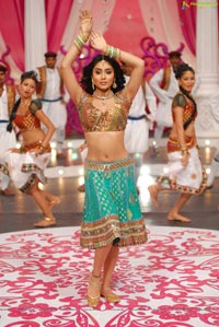 Beautiful Shriya draped in a Saree