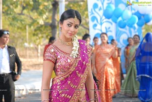 Beautiful Shriya draped in a Saree