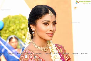 Beautiful Shriya draped in a Saree