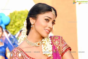 Beautiful Shriya draped in a Saree