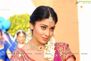 Beautiful Shriya draped in a Saree