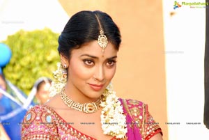 Beautiful Shriya draped in a Saree