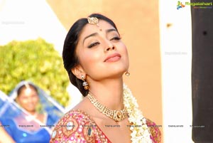 Beautiful Shriya draped in a Saree