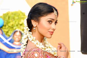 Beautiful Shriya draped in a Saree