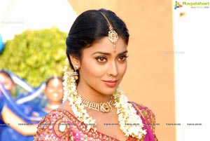 Beautiful Shriya draped in a Saree