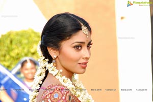 Beautiful Shriya draped in a Saree